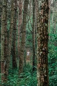 BIB: 
                            <button type="button" onclick="openModal(25235640)" class="btn btn-primary btn-sm float-right btn-popup" data-toggle="modal" data-target=".modal-high-quality">
                        <i class="fas fa-shopping-cart"></i> Add to Cart
                    </button>
                                            <button type="button" onclick="isThisMe(25235640, true)" class="btn btn-success btn-sm float-right btn-popup btn-isme hidden" data-toggle="tooltip" data-placement="bottom" title="นี่คือรูปของคุณใช่ไหม คลิกที่นี่เพื่อเอาเข้าอัลบั้ม">
                        <i class="fas fa-plus"></i> Add to album
                    </button>
                    <button type="button" onclick="isThisMe(25235640, false)" class="btn btn-warning btn-sm float-right btn-popup btn-isnotme hidden">
                        <i class="fas fa-ban"></i> Remove from album
                    </button>